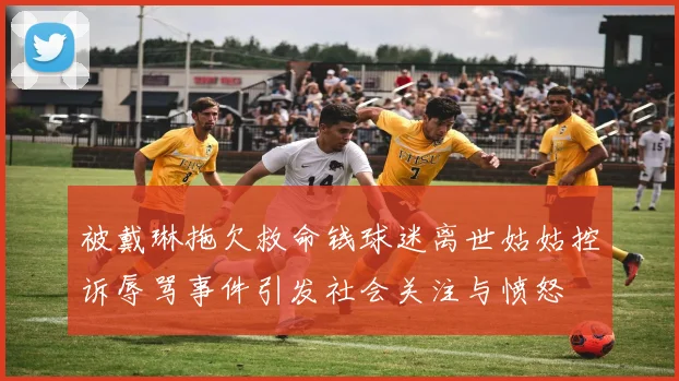 被戴琳拖欠救命钱球迷离世姑姑控诉辱骂事件引发社会关注与愤怒
