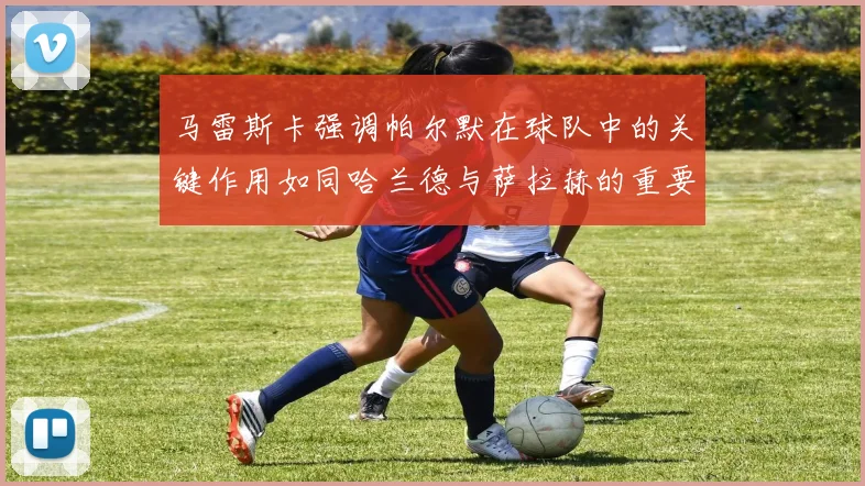 马雷斯卡强调帕尔默在球队中的关键作用如同哈兰德与萨拉赫的重要性