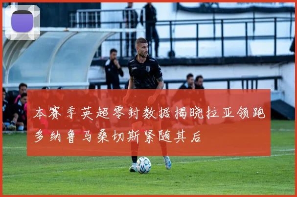 本赛季英超零封数据揭晓拉亚领跑多纳鲁马桑切斯紧随其后